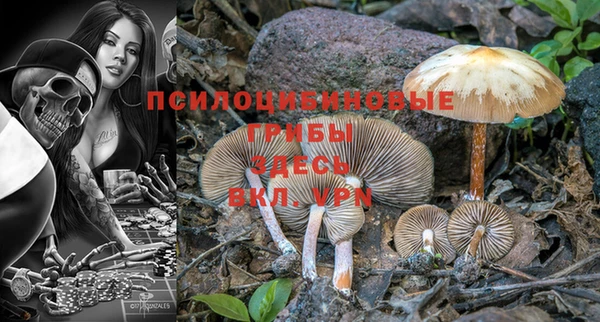 первитин Богородицк