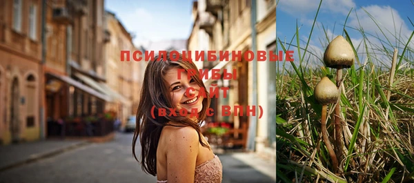 первитин Богородицк
