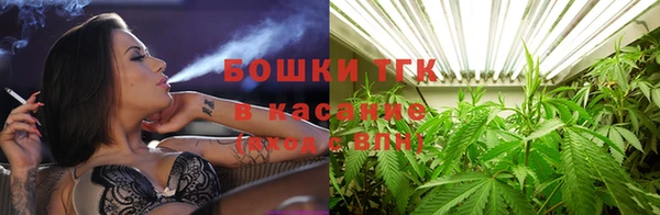 дживик Бронницы