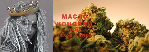 дживик Бронницы